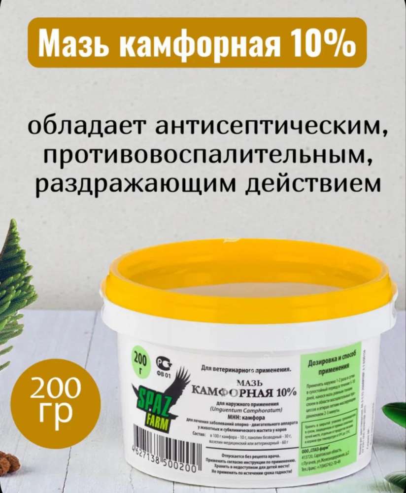 Мазь камфорная 10%, 200 г 